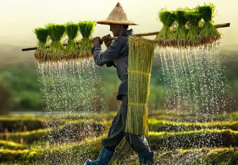 Vietnam travel destination photo - Sunshine Travels