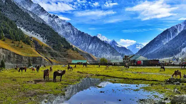 Pahalgam Kashmir travel photo - Sunshine Travels