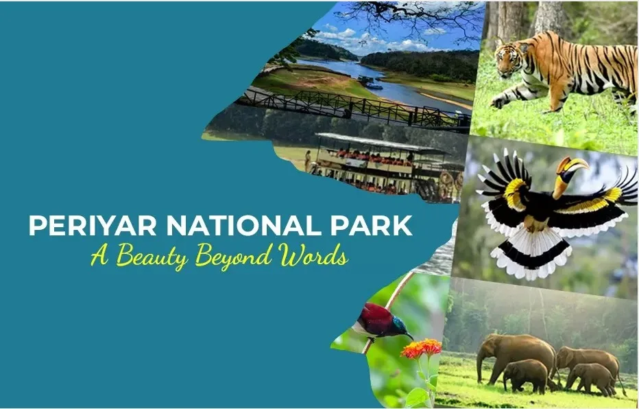 National Park India travel photo - Sunshine Travels